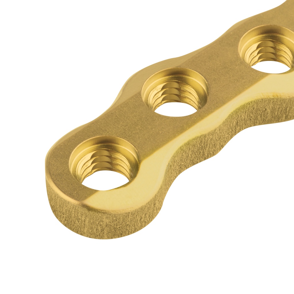 EickLoxx S Type knogleplade til EickLoxx Large, guld
